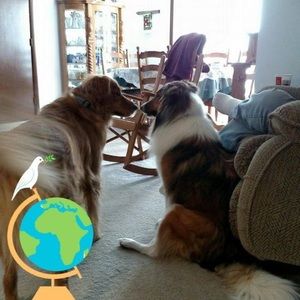 Meet your Posher, Terry